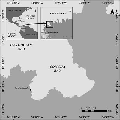 First record of the dinoflagellate Prorocentrum borbonicum in the continental coast of Colombian Caribbean: A new 42 hydroxi-palytoxin producer